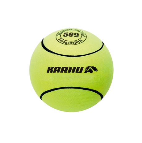 Karhu Naisten ja Nuorten Ottelupallo 509 - Urheilu Pajala